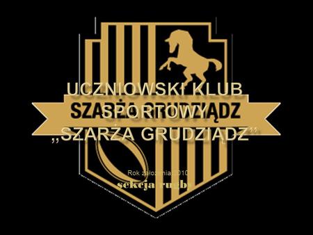 Sekcja rugby Rok założenia 2010. / Kadet ( 16 – 17 lat ) / Junior ( 18 – 19 lat) / Młodzieżowiec ( U 21 i U23 ) …….oraz seniorów.