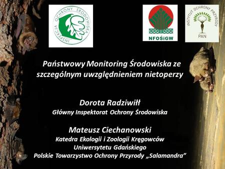 Państwowy Monitoring Środowiska ze szczególnym uwzględnieniem nietoperzy Dorota Radziwiłł Główny Inspektorat Ochrony Środowiska Mateusz Ciechanowski.