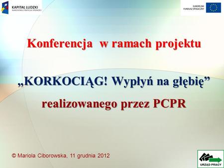 Konferencja w ramach projektu KORKOCIĄG! Wypłyń na głębię realizowanego przez PCPR © Mariola Ciborowska, 11 grudnia 2012.
