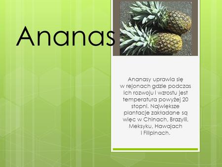 Ananas Ananasy uprawia się