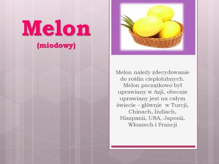 Melon (miodowy) Melon należy zdecydowanie do roślin ciepłolubnych. Melon początkowo był uprawiany w Azji, obecnie uprawiany jest na całym świecie – głównie.