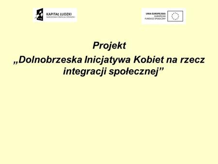 Projekt Dolnobrzeska Inicjatywa Kobiet na rzecz integracji społecznej.