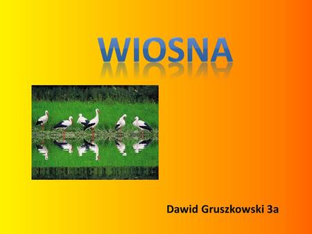 WIOSNA Dawid Gruszkowski 3a.