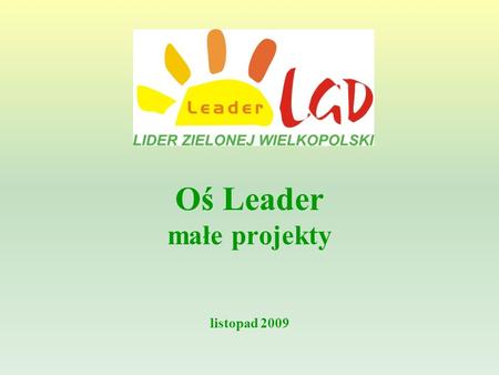 Oś Leader małe projekty listopad 2009. Działania w ramach osi Leader: Wdrażanie lokalnych strategii rozwoju Wdrażanie projektów współpracy Funkcjonowanie.