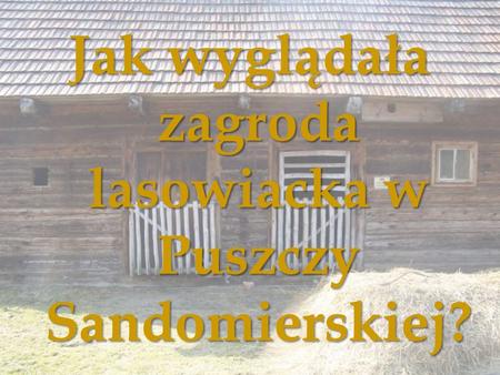 Jak wyglądała zagroda lasowiacka w Puszczy Sandomierskiej?