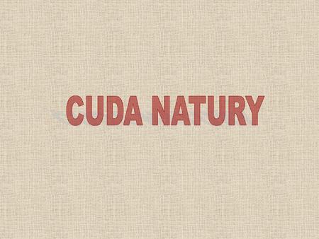 CUDA NATURY.