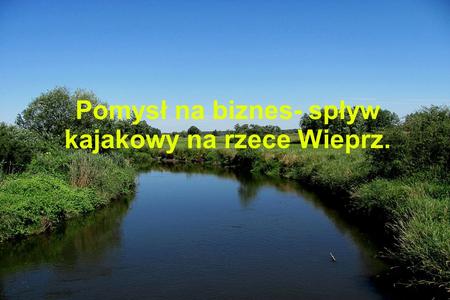 Pomysł na biznes- spływ kajakowy na rzece Wieprz.