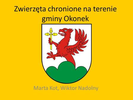 Zwierzęta chronione na terenie gminy Okonek