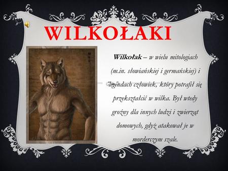 WILKOŁAKI Wilkołak – w wielu mitologiach (m.in. słowiańskiej i germańskiej) i legendach człowiek, który potrafił się przekształcić w wilka. Był wtedy groźny.
