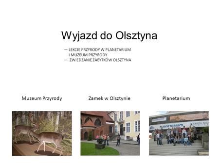 Wyjazd do Olsztyna Muzeum Przyrody Zamek w Olsztynie Planetarium