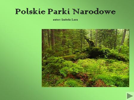 Polskie Parki Narodowe autor: Izabela Lara
