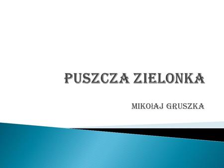 Puszcza Zielonka Mikołaj Gruszka.
