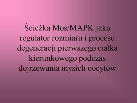 Ścieżka Mos/MAPK jako regulator rozmiaru i procesu degeneracji pierwszego ciałka kierunkowego podczas dojrzewania mysich oocytów.