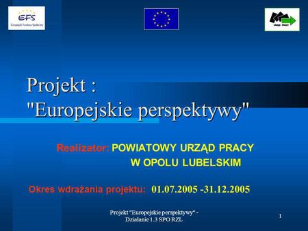 Projekt Europejskie perspektywy - Działanie 1.3 SPO RZL 1 Projekt : Europejskie perspektywy Realizator: POWIATOWY URZĄD PRACY W OPOLU LUBELSKIM Okres.