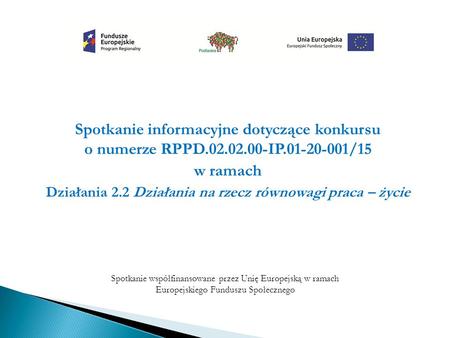 Spotkanie informacyjne dotyczące konkursu o numerze RPPD.02.02.00-IP.01-20-001/15 w ramach Działania 2.2 Działania na rzecz równowagi praca – życie Spotkanie.