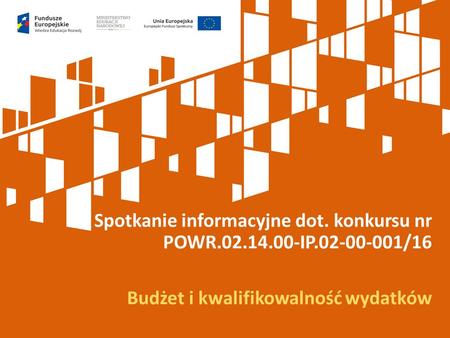 Spotkanie informacyjne dot. konkursu nr POWR.02.14.00-IP.02-00-001/16 Budżet i kwalifikowalność wydatków.