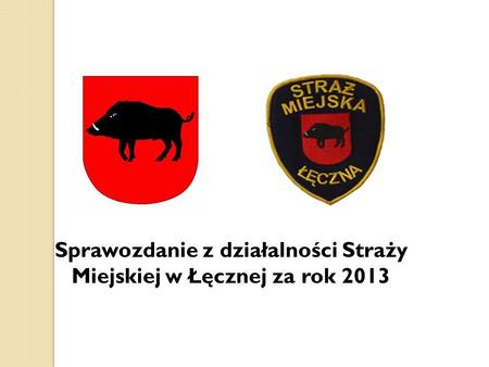 Sprawozdanie z działalności Straży Miejskiej w Łęcznej za rok 2013