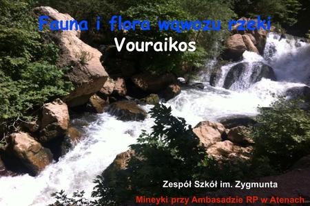 Fauna i flora wąwozu rzeki Vouraikos