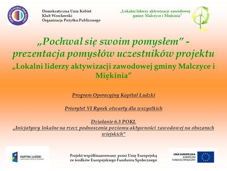 Pochwal się swoim pomysłem - prezentacja pomysłów uczestników projektu Lokalni liderzy aktywizacji zawodowej gminy Malczyce i Miękinia Program Operacyjny.