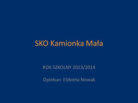 ROK SZKOLNY 2013/2014 Opiekun: Elżbieta Nowak