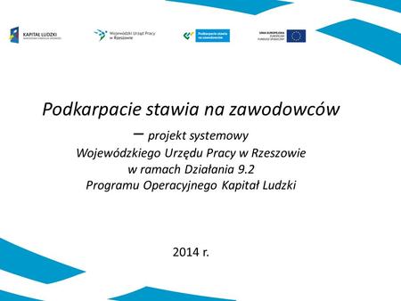 2014 r. Podkarpacie stawia na zawodowców – projekt systemowy Wojewódzkiego Urzędu Pracy w Rzeszowie w ramach Działania 9.2 Programu Operacyjnego Kapitał.