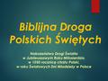 Biblijna Droga Polskich Świętych Nabożeństwo Drogi Światła w Jubileuszowym Roku Miłosierdzia, w 1050 rocznicę chrztu Polski, w roku Światowych Dni Młodzieży.