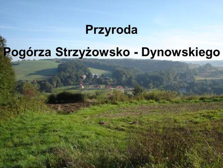 Przyroda Pogórza Strzyżowsko - Dynowskiego. Rośliny charakterystyczne dla tego regionu Zwierzęta charakterystyczne dla tego regionu Osobliwości przyrody.