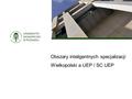 Obszary inteligentnych specjalizacji Wielkopolski a UEP / SC UEP.