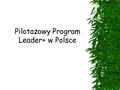 Pilotażowy Program Leader+ w Polsce.  Narodowy Plan Rozwoju  Sektorowy Program Operacyjny „Restrukturyzacja i modernizacja sektora żywnościowego oraz.