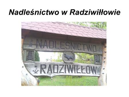 Nadleśnictwo w Radziwiłłowie. Położenie Nadleśnictwo położone jest w centralnej Polsce, między województwem mazowieckim oraz łódzkim.