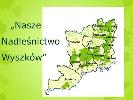„Nasze Nadleśnictwo Wyszków”. Chcąc poznać bliżej nasze Nadleśnictwo Wyszków wybraliśmy się do miejscowości Leszczydół - Nowiny. Tam dzięki Panu Leśniczemu.