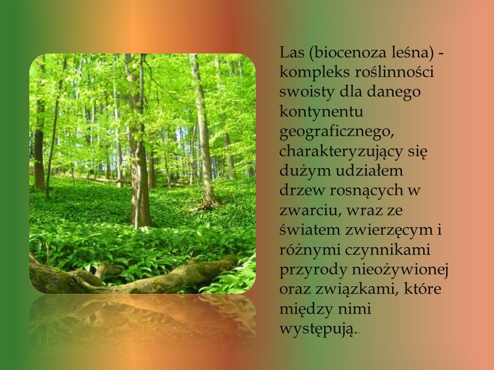 Las (biocenoza leśna) - kompleks roślinności swoisty dla danego kontynentu geograficznego, charakteryzujący się dużym udziałem drzew rosnących w zwarciu, wraz ze światem zwierzęcym i różnymi czynnikami przyrody nieożywionej oraz związkami, które między nimi występują..