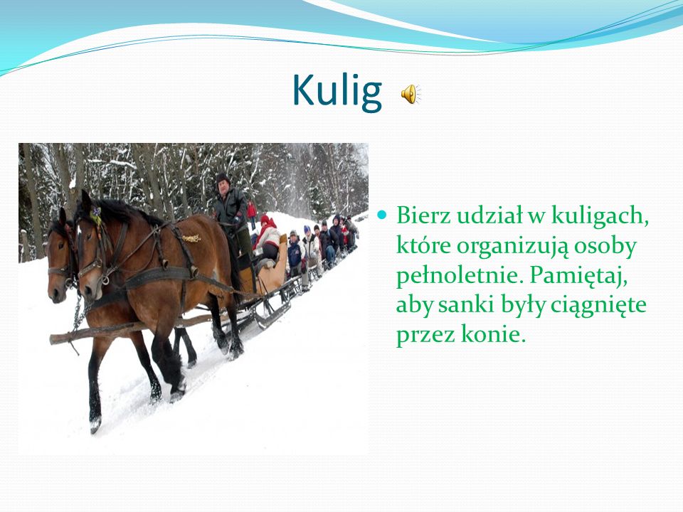 Kulig Bierz udział w kuligach, które organizują osoby pełnoletnie.