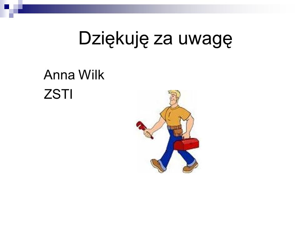 Dziękuję za uwagę Anna Wilk ZSTI