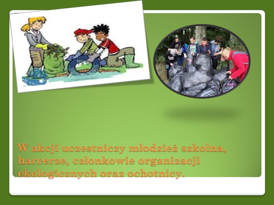 W akcji uczestniczy młodzież szkolna, harcerze, członkowie organizacji ekologicznych oraz ochotnicy.