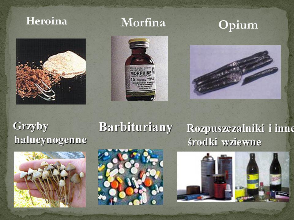 Morfina Opium Grzyby halucynogenne Barbituriany