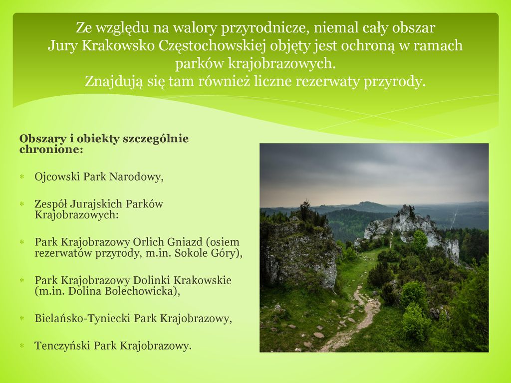 Ze względu na walory przyrodnicze, niemal cały obszar Jury Krakowsko Częstochowskiej objęty jest ochroną w ramach parków krajobrazowych. Znajdują się tam również liczne rezerwaty przyrody.