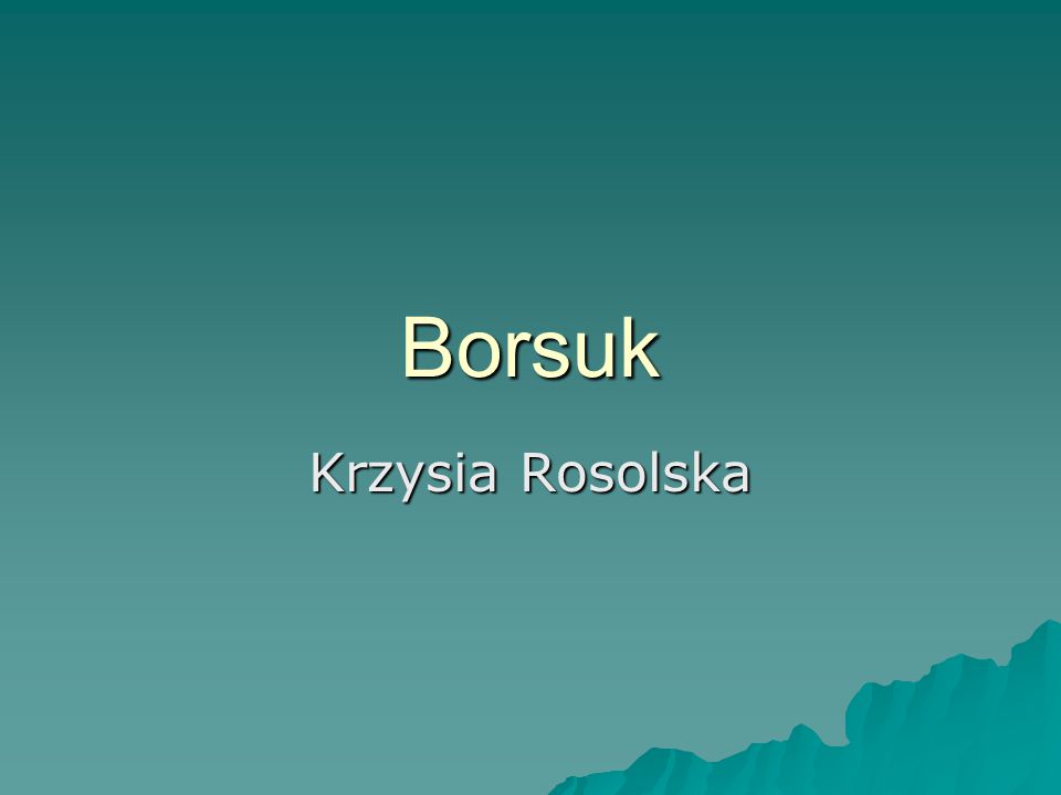 Borsuk Krzysia Rosolska