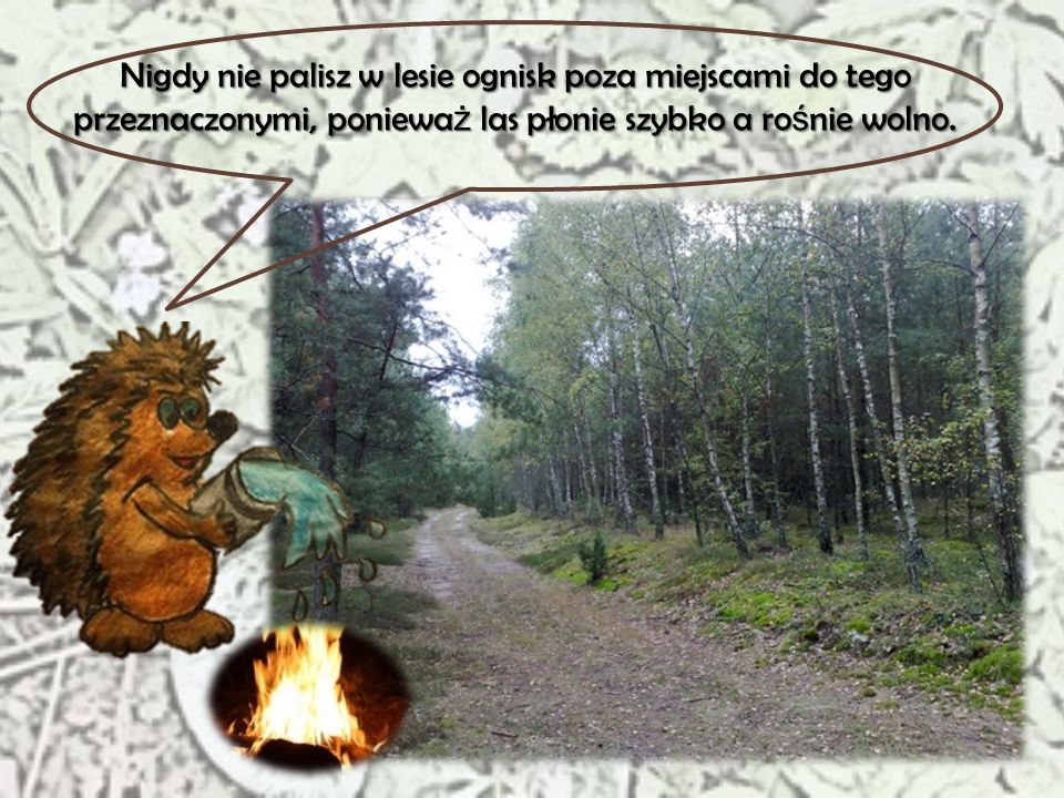 Nigdy nie palisz w lesie ognisk poza miejscami do tego przeznaczonymi, ponieważ las płonie szybko a rośnie wolno.