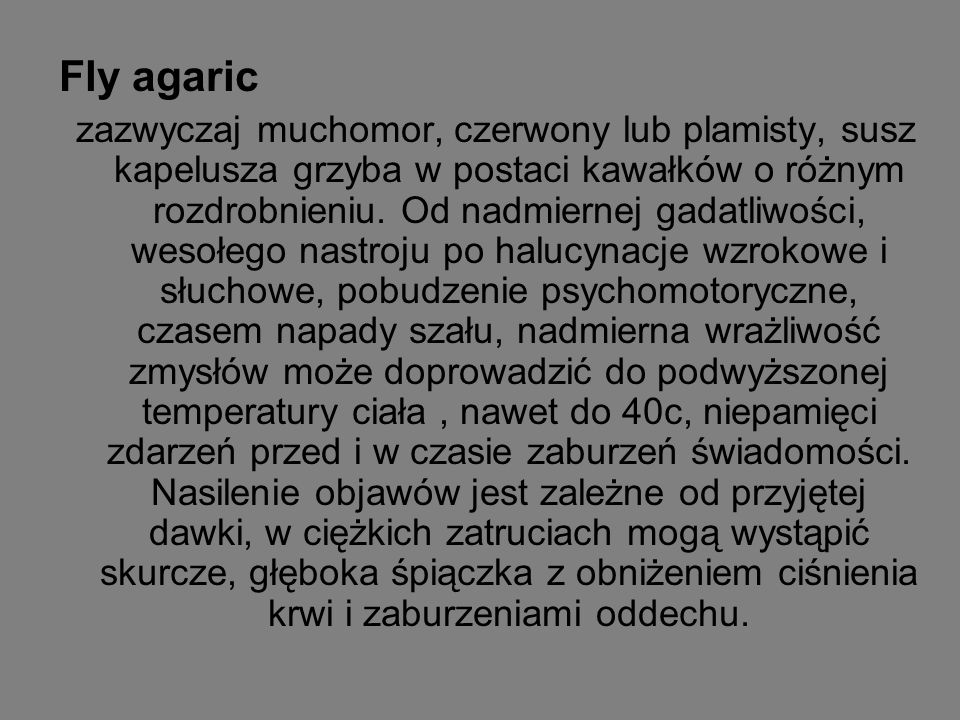 Fly agaric