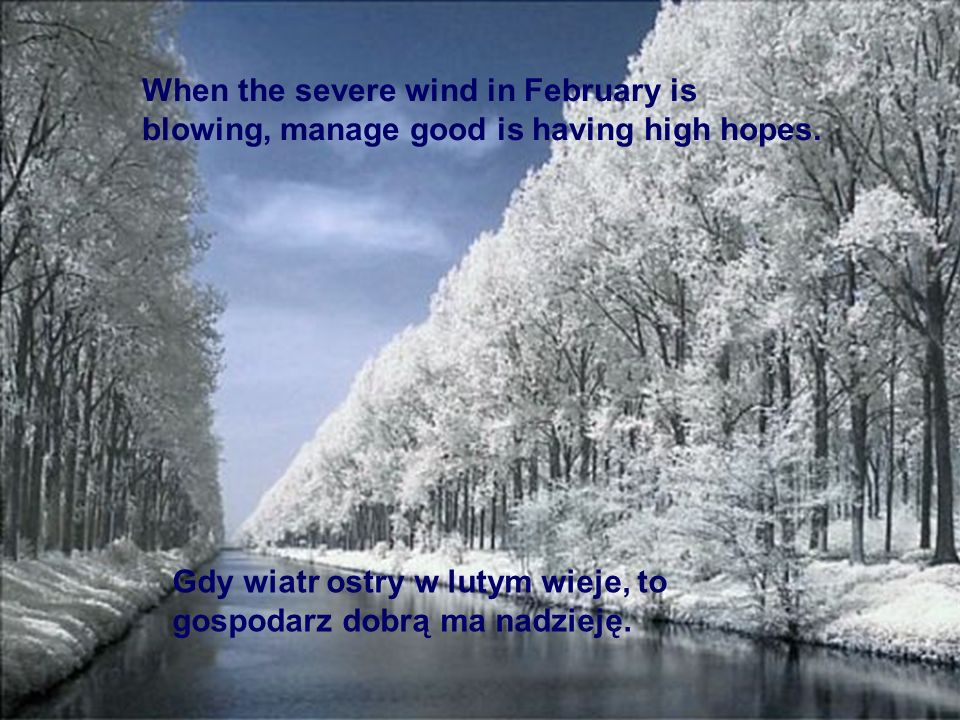 When the severe wind in February is blowing, manage good is having high hopes.