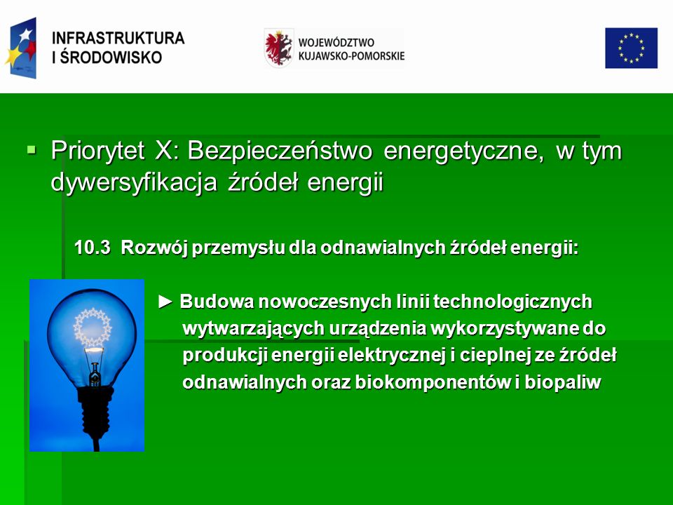 Priorytet X: Bezpieczeństwo energetyczne, w tym dywersyfikacja źródeł energii
