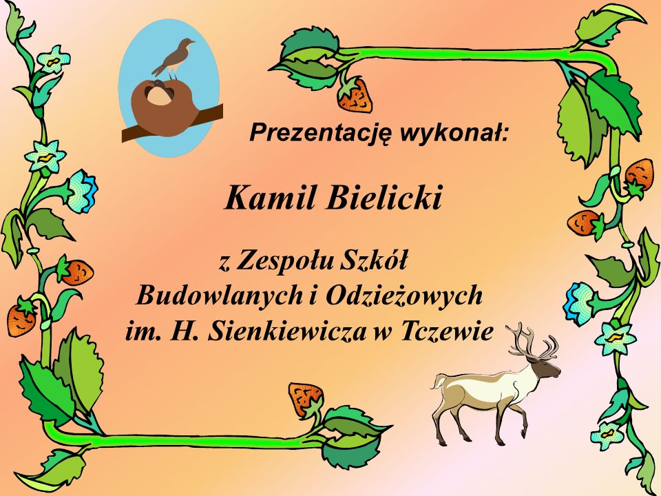 Prezentację wykonał: Kamil Bielicki.