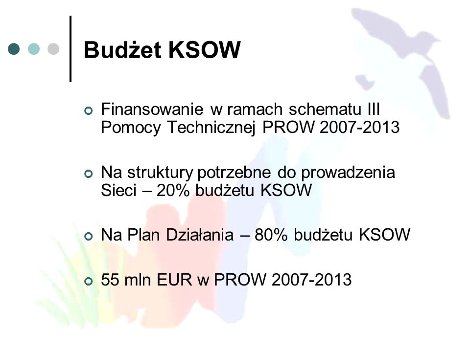 Budżet KSOW Finansowanie w ramach schematu III Pomocy Technicznej PROW Na struktury potrzebne do prowadzenia Sieci – 20% budżetu KSOW.