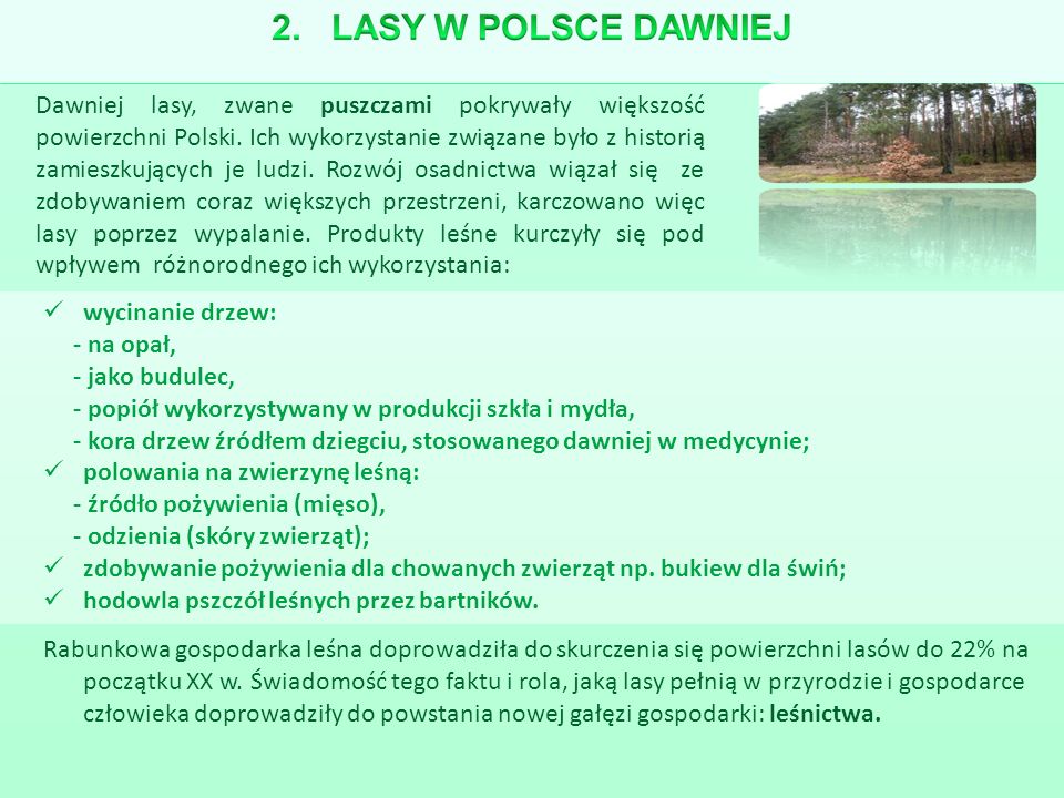 Dawniej lasy, zwane puszczami pokrywały większość powierzchni Polski