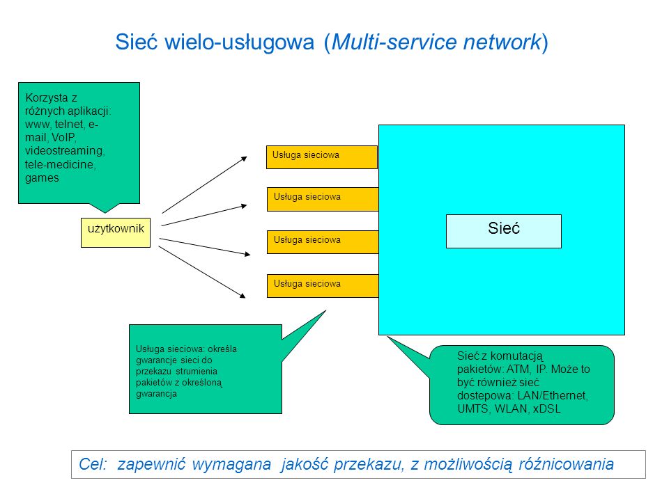Sieć wielo-usługowa (Multi-service network)
