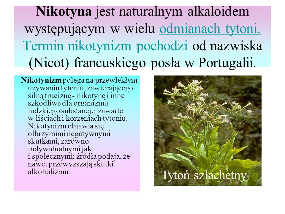 Nikotyna jest naturalnym alkaloidem występującym w wielu odmianach tytoni. Termin nikotynizm pochodzi od nazwiska (Nicot) francuskiego posła w Portugalii.