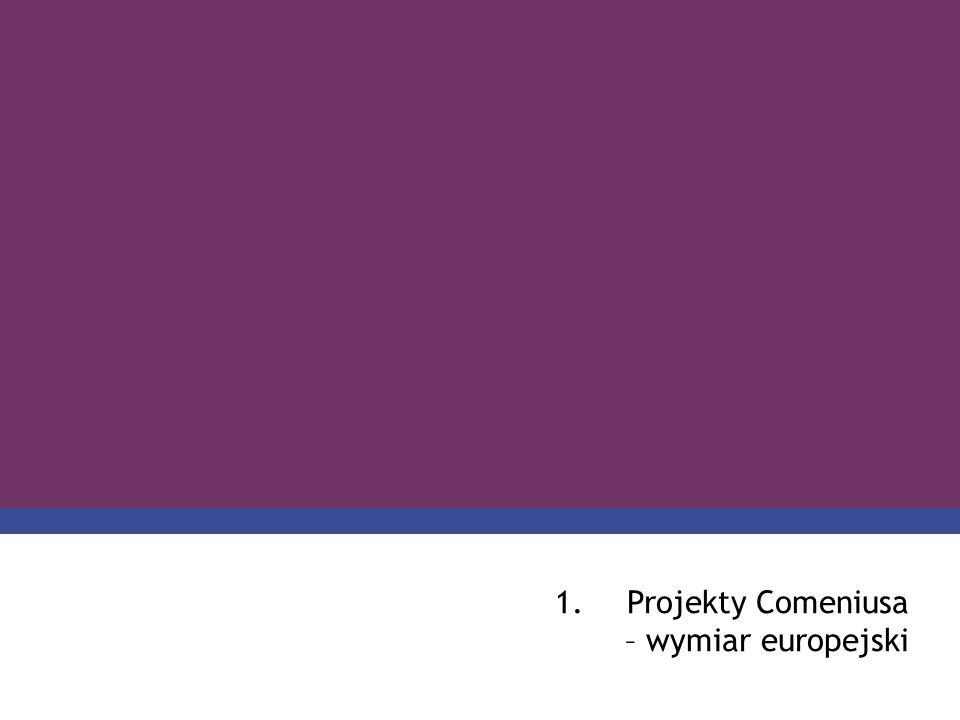 Projekty Comeniusa – wymiar europejski