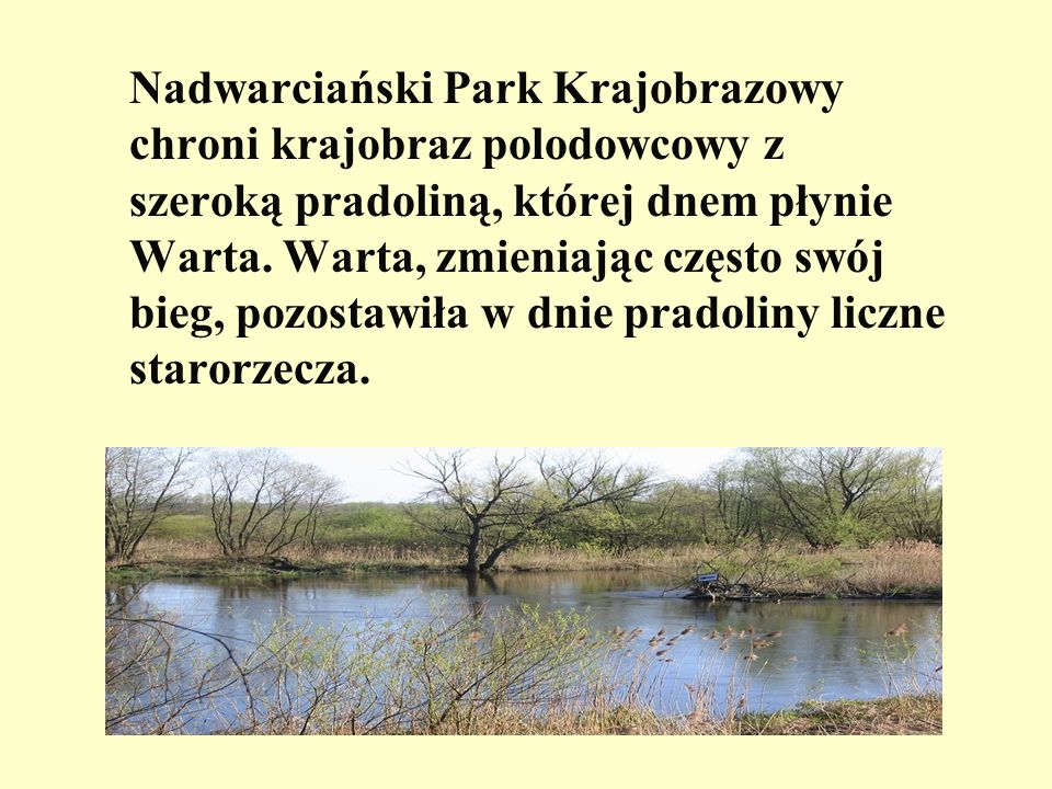 Nadwarciański Park Krajobrazowy chroni krajobraz polodowcowy z szeroką pradoliną, której dnem płynie Warta.