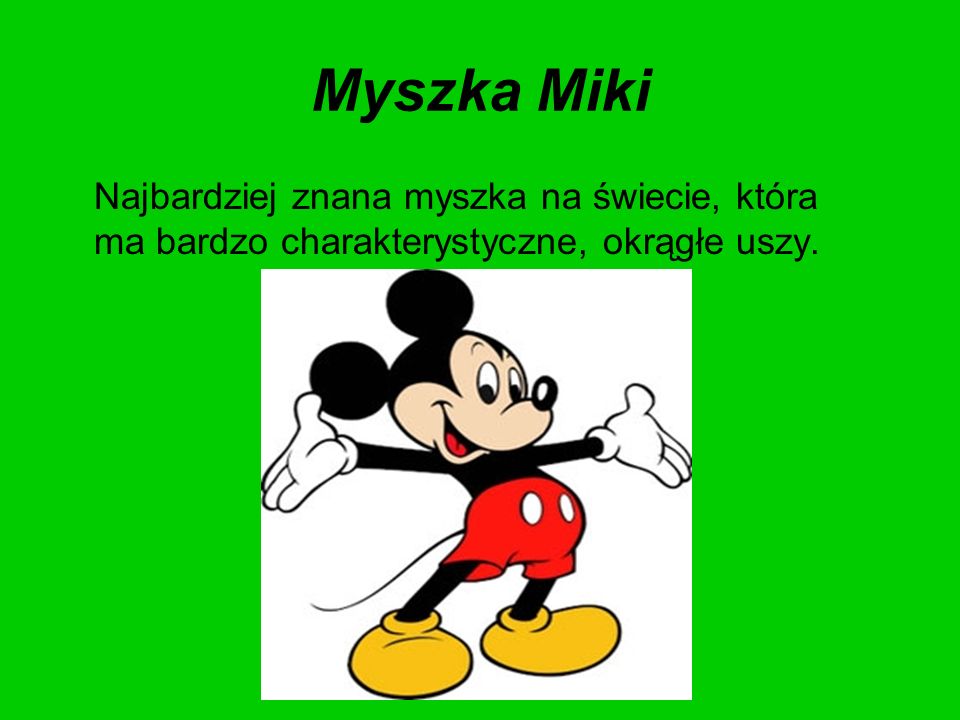 Myszka Miki Najbardziej znana myszka na świecie, która ma bardzo charakterystyczne, okrągłe uszy.